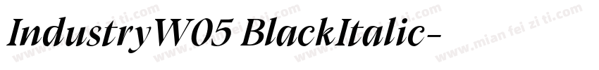 IndustryW05 BlackItalic字体转换
